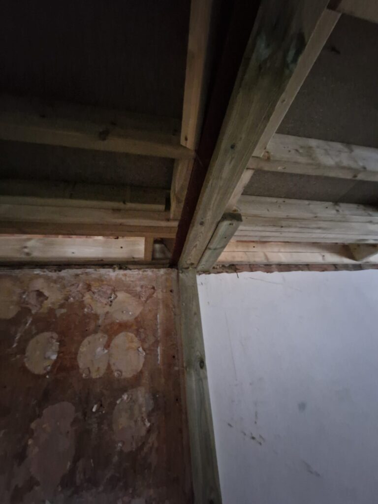 Loft & Extension in Romney Close SE14